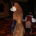 fc2006_wildfire_fox_02